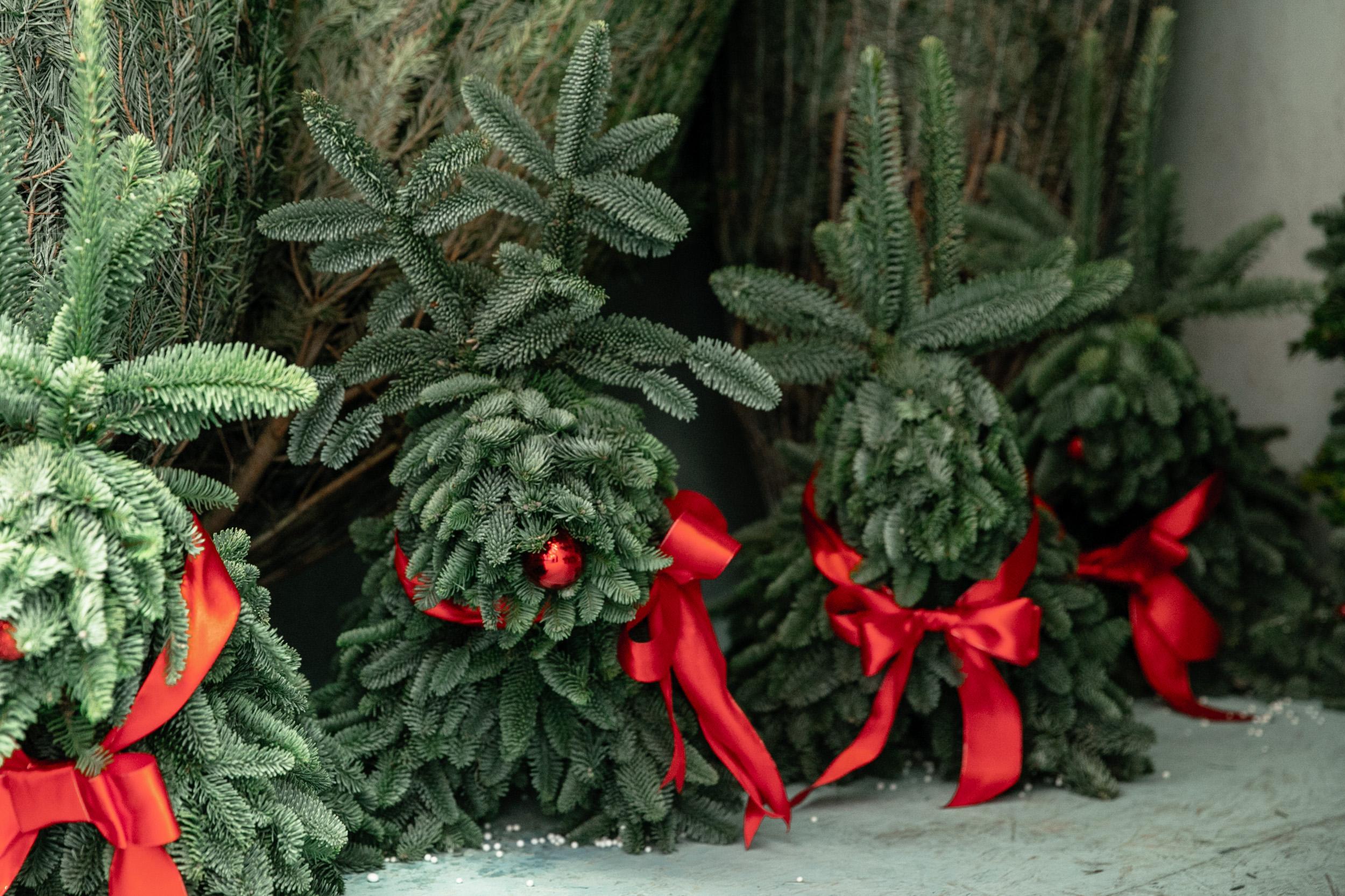 У кожному районі міста працюватимуть офіційні ялинкові ярмарки: де купити новорічне дерево