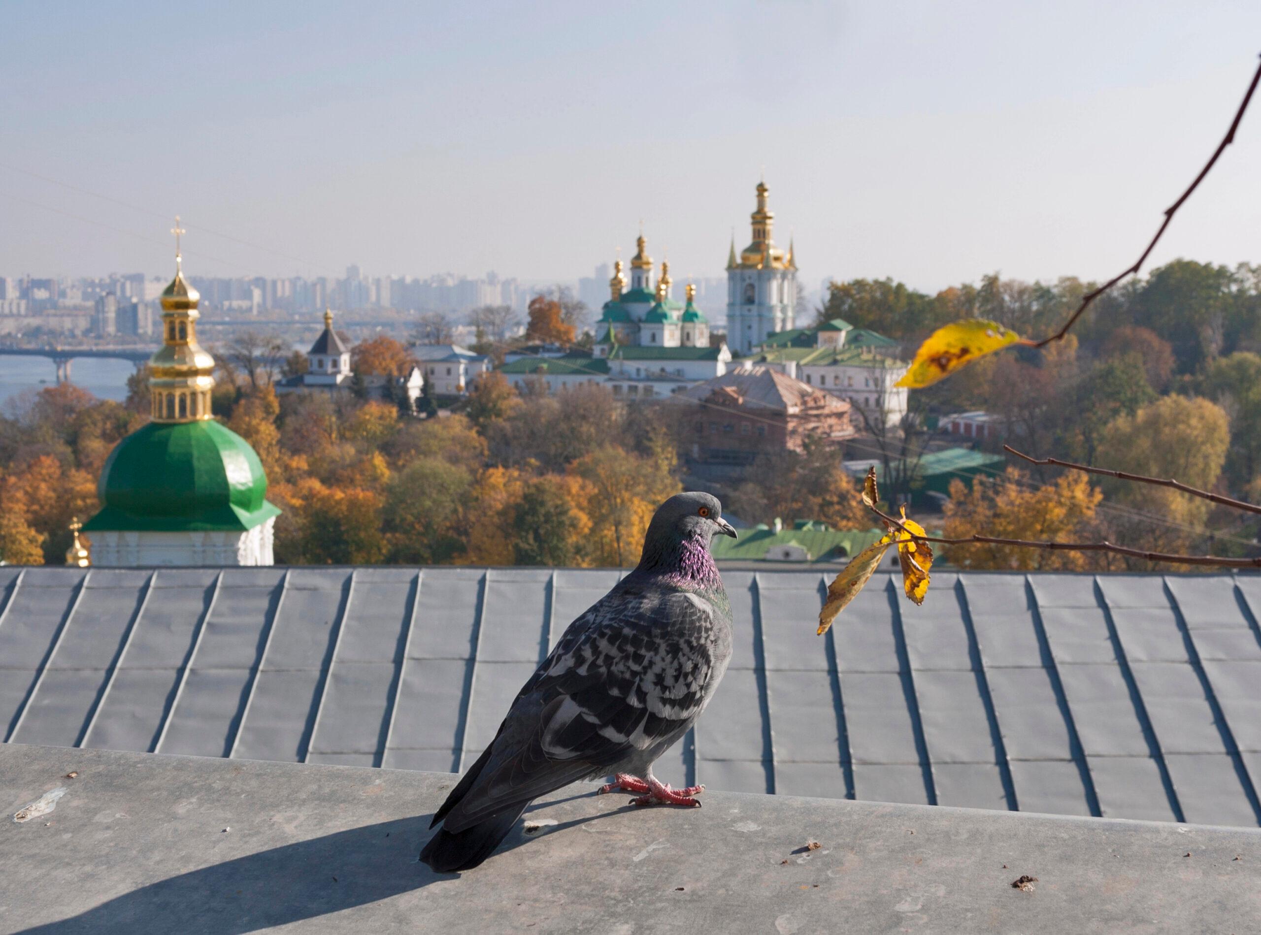 Середа обіцяє стати найтеплішим днем тижня