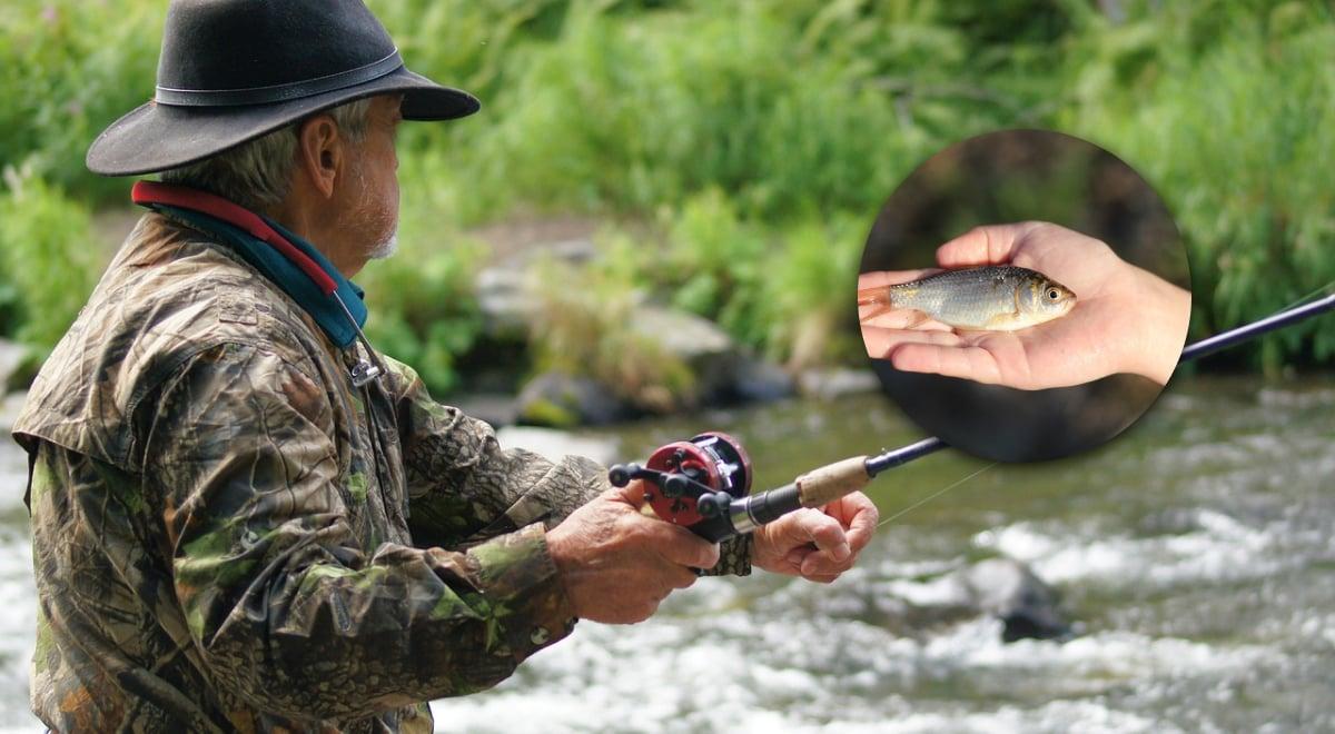 У листопаді заборонено заважати зимівлі риби: де не можна ловити в Києві та області