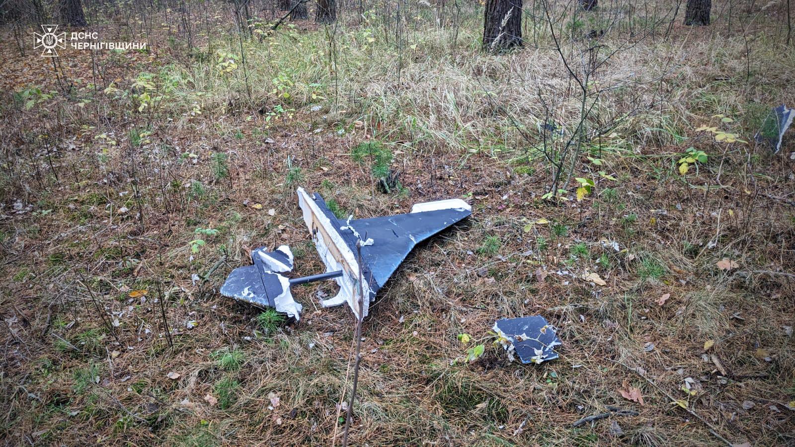 У лісі на Чернігівщині підлітки постраждали через детонацію уламків російського дрона