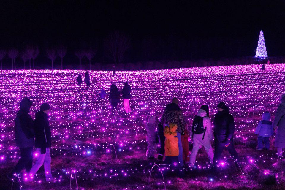 Свято кольору і світла: у Добропарку ожила зимова казка