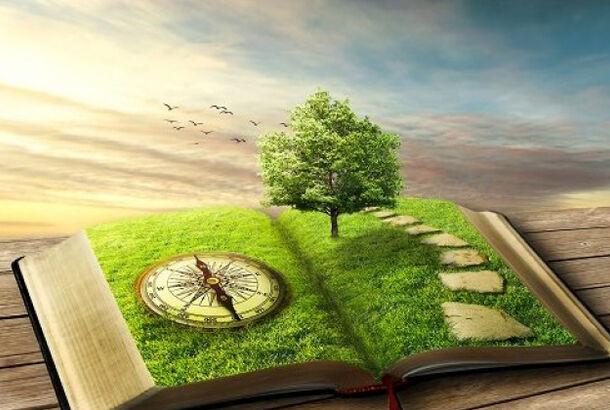 Українські діти-вундеркінди стали переможцями міжнародного конкурсу Ecoview 2025