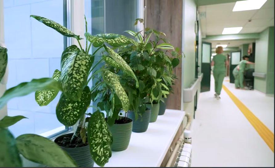 Попри війну та обстріли: у Харкові відкрили нове ортопедичне відділення лікарні