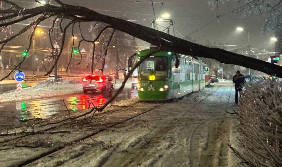 Школи та університети можуть перейти на дистанційку до 19 січня