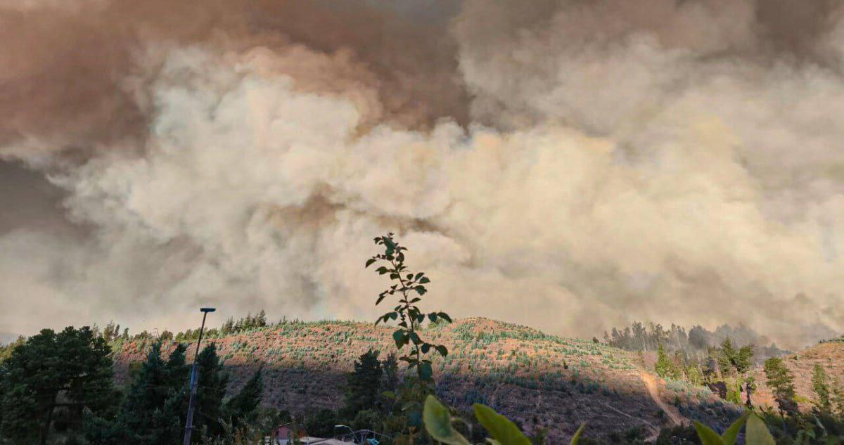 Масштабні лісові пожежі в Чилі: щонайменше 16 загиблих, евакуйовано 20 тисяч людей