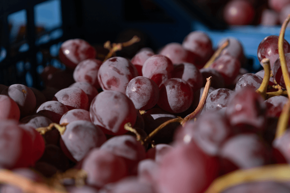 Де у Києві цього тижня відбудуться продуктові ярмарки: локації