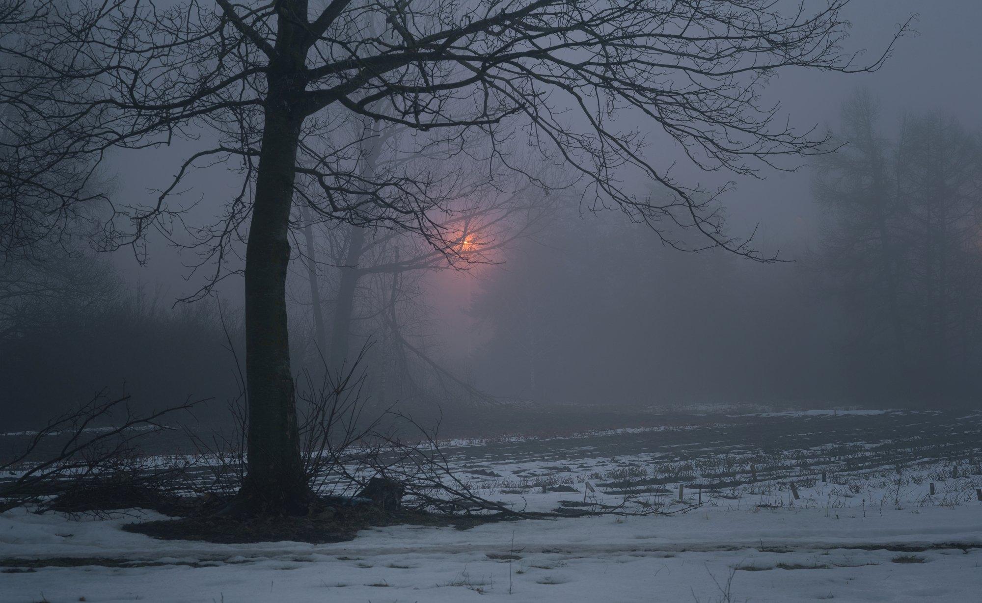 На Київщині оголосили жовтий рівень небезпеки через густий туман