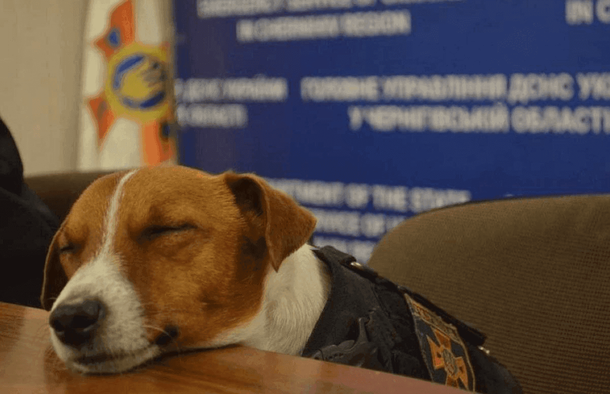 Марк Рютте зустрівся з легендарним псом Патроном