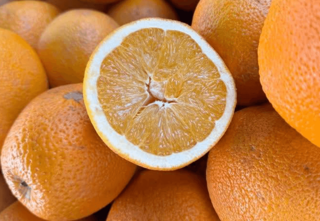 Час закупитися: у дев’яти районах Києва сьогодні проходять ярмарки