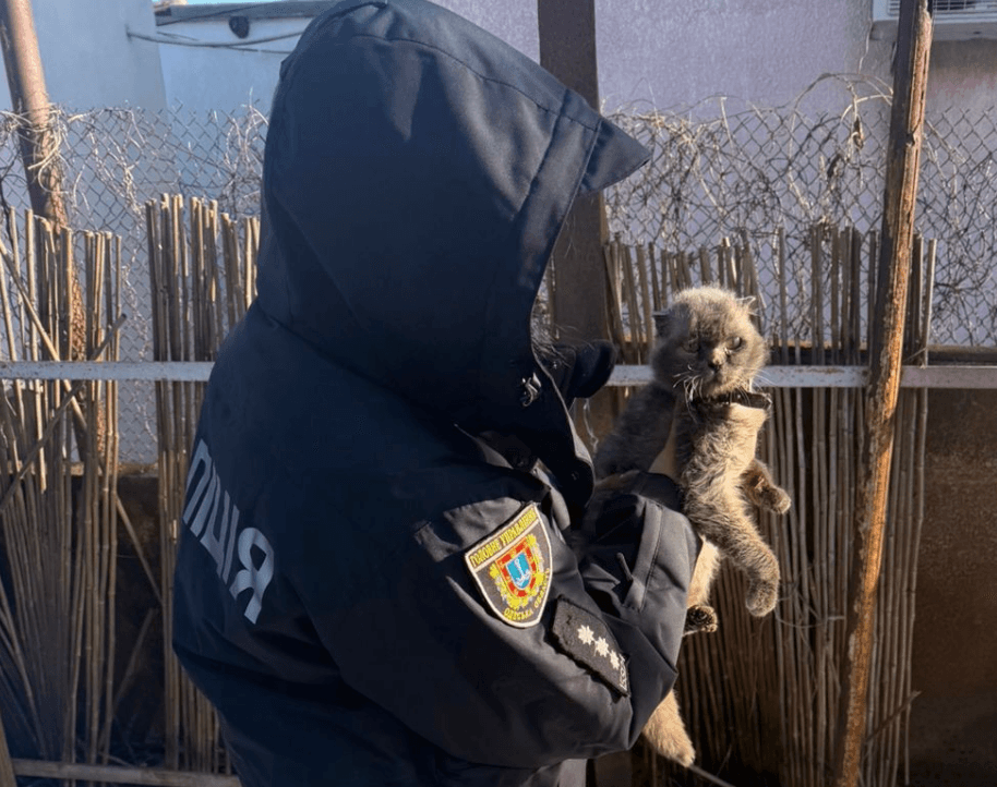В Одесі жінка тримала на прив’язі двох котів