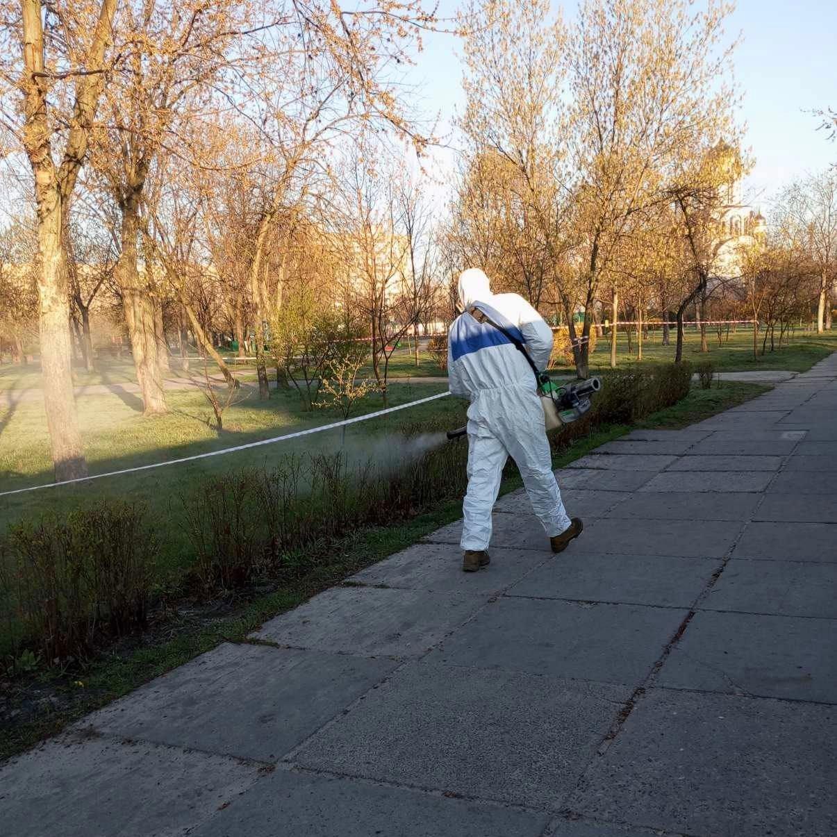 Парки, сквери та пляжі Києва обробляють  від кліщів — перелік локацій