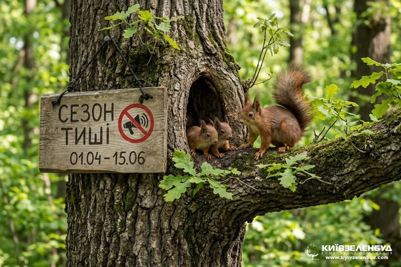 В лісах і парках розпочався «сезон тиші»: що заборонено робити