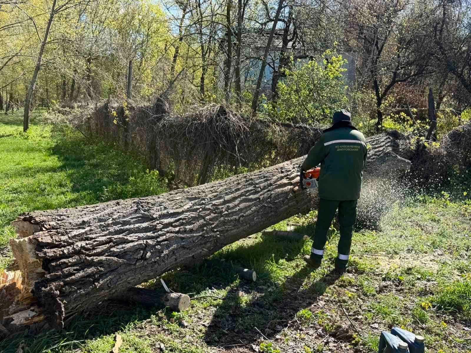 У Києві негода повалила чи пошкодила сотні дерев