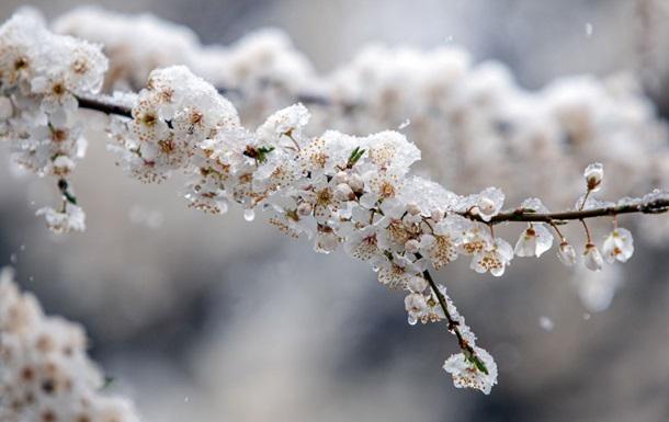 Надходить арктичне повітря: в Україні очікуються нічні заморозки та значні опади вдень