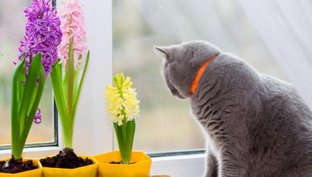 Дощі, вітри та мокрий сніг до кінця тижня: хто не встиг зігрітися в квітні, знову чекатиме на тепло