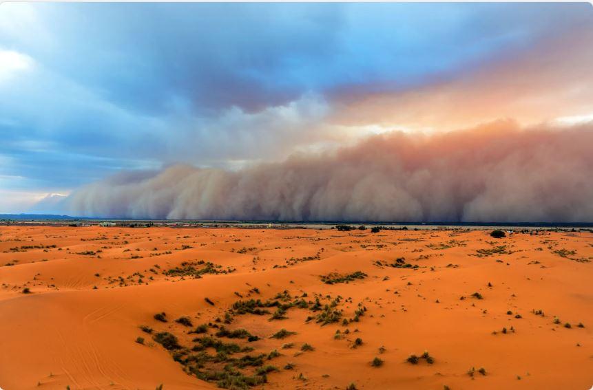Пилова буря з вітром “харматан” пронеслася Сахарою – неймовірне явище зафіксували на відео