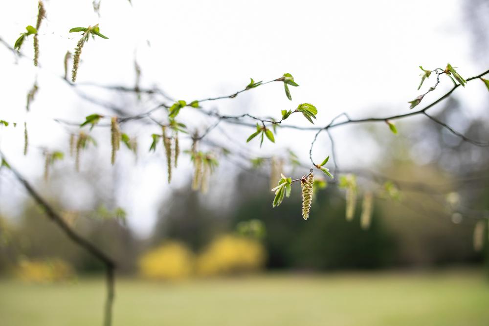 На Київщину повертається потепління