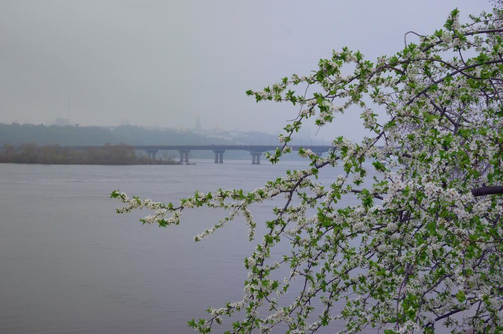 Які сюрпризи підготувала погода киянам у п’ятницю: прогноз від синоптиків