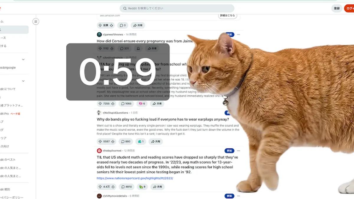 У браузері з’явився інструмент, який змушує робити перерви: екран перекриває великий кіт