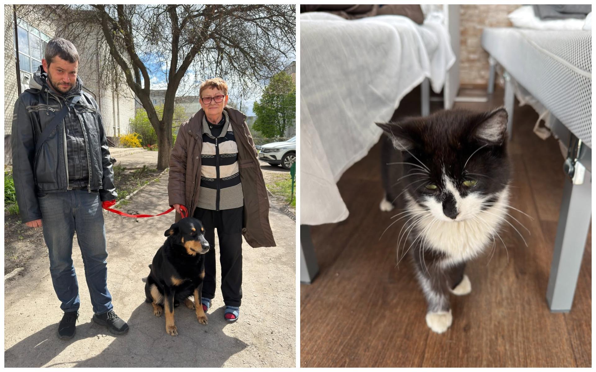 Дев’ять годин «пекла» пішки: історія пенсіонерки з Костянтинівки, яка втекла від обстрілів з сином та тваринами