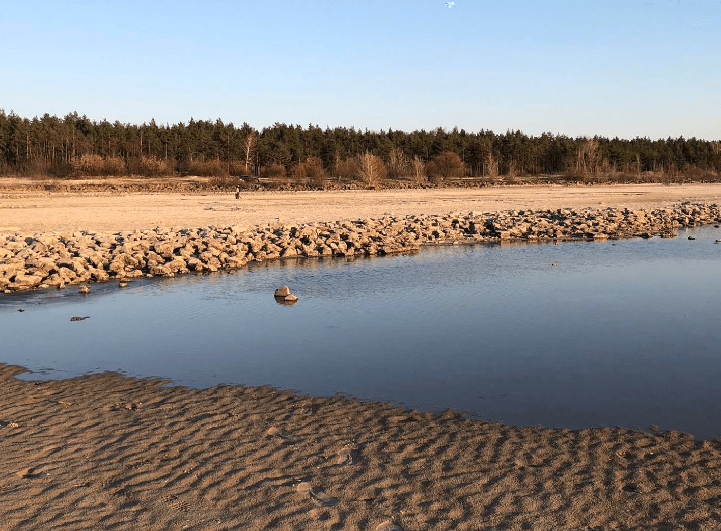 Київське море відступило на десятки метрів від берегів: на водоймі гине риба