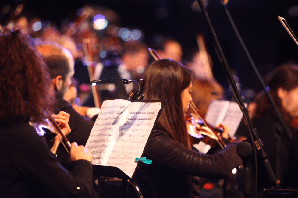 Екскурсії, виставки та нові вистави: куди сходити у Києві цього тижня