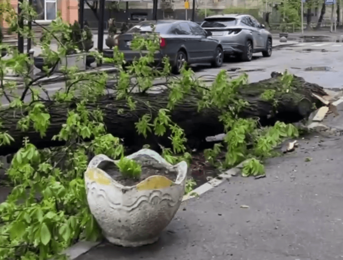 Буревій зламав старовинний каштан Іващенка на Печерську