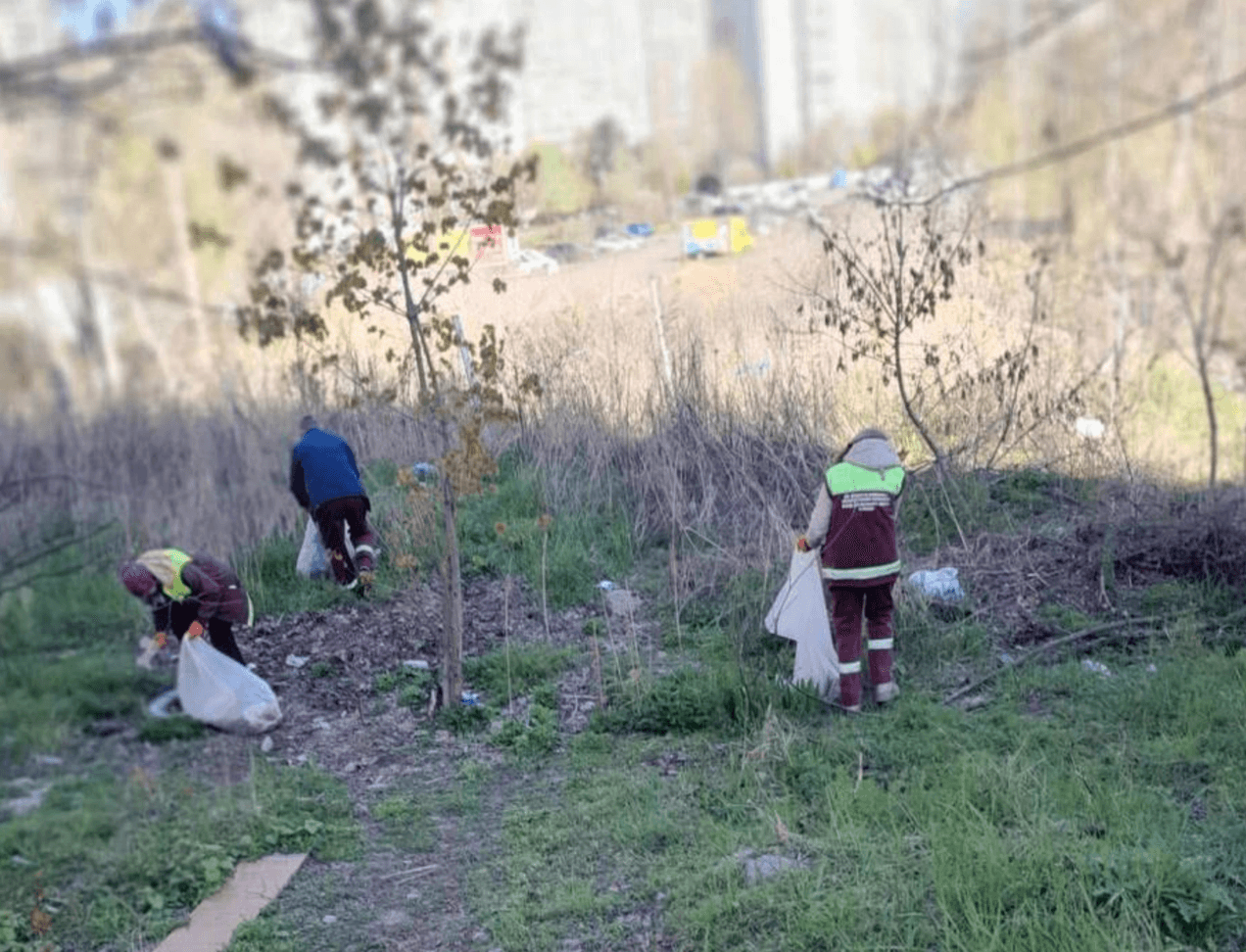 Чистій Дарниці бути: на Урлівській провели толоку