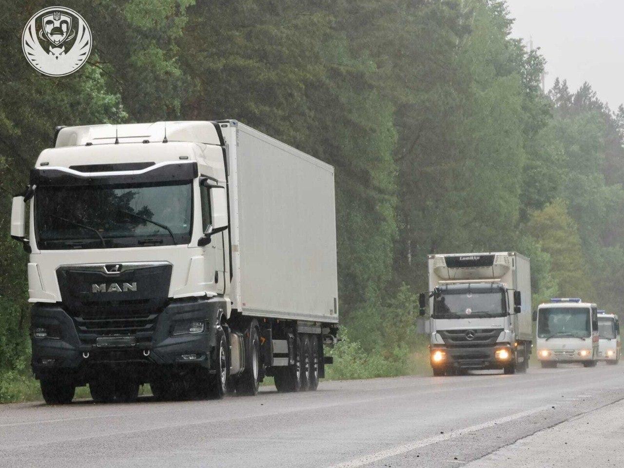 До України повернули 528 тіл, які, за твердженням РФ, можуть належати українським військовим