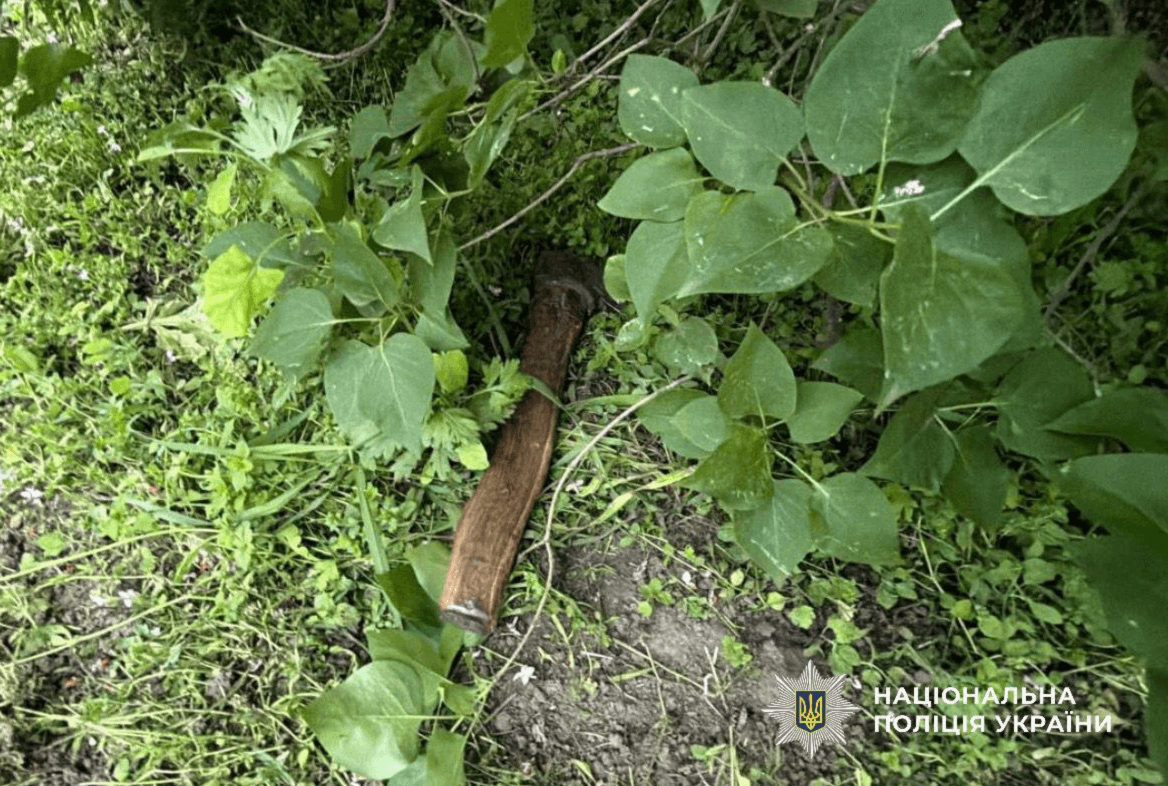 На Броварщині чоловік жорстко побив сокирою свою сестру