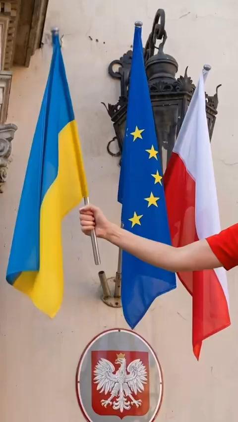 Кандидатка в мери Кракова викинула прапори України та ЄС у перевиборчому ролику