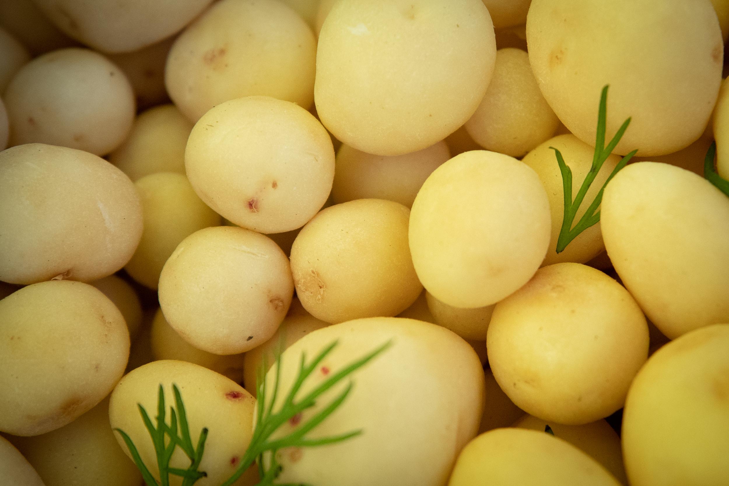 Ярмарки у Києві: де купити фермерські продукти цього тижня