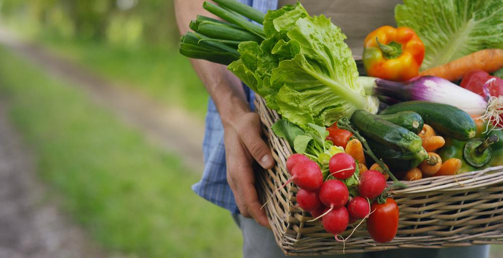 Де у Києві сьогодні проходять продуктові ярмарки: локації