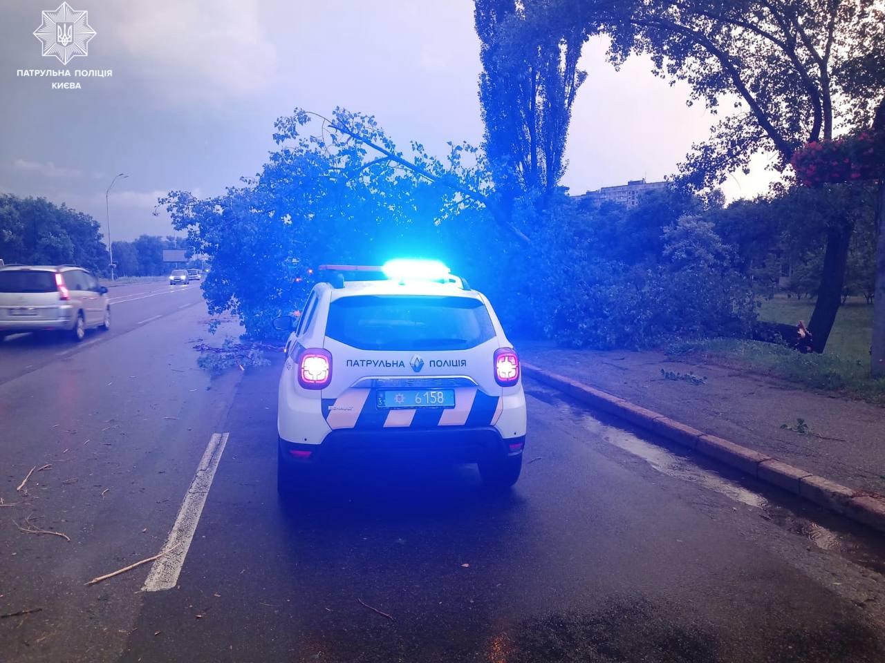 У Києві через деревопад кількома вулицями ускладнено рух
