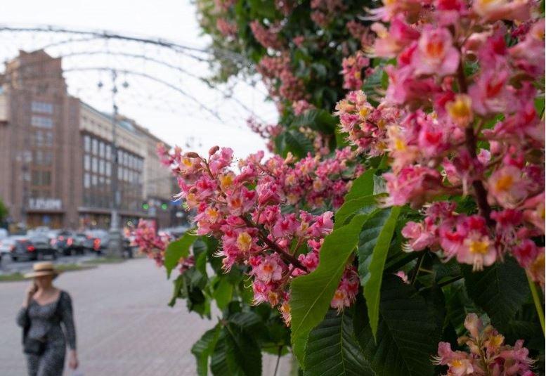 Початок червня в Україні буде дощовим і спекотним водночас