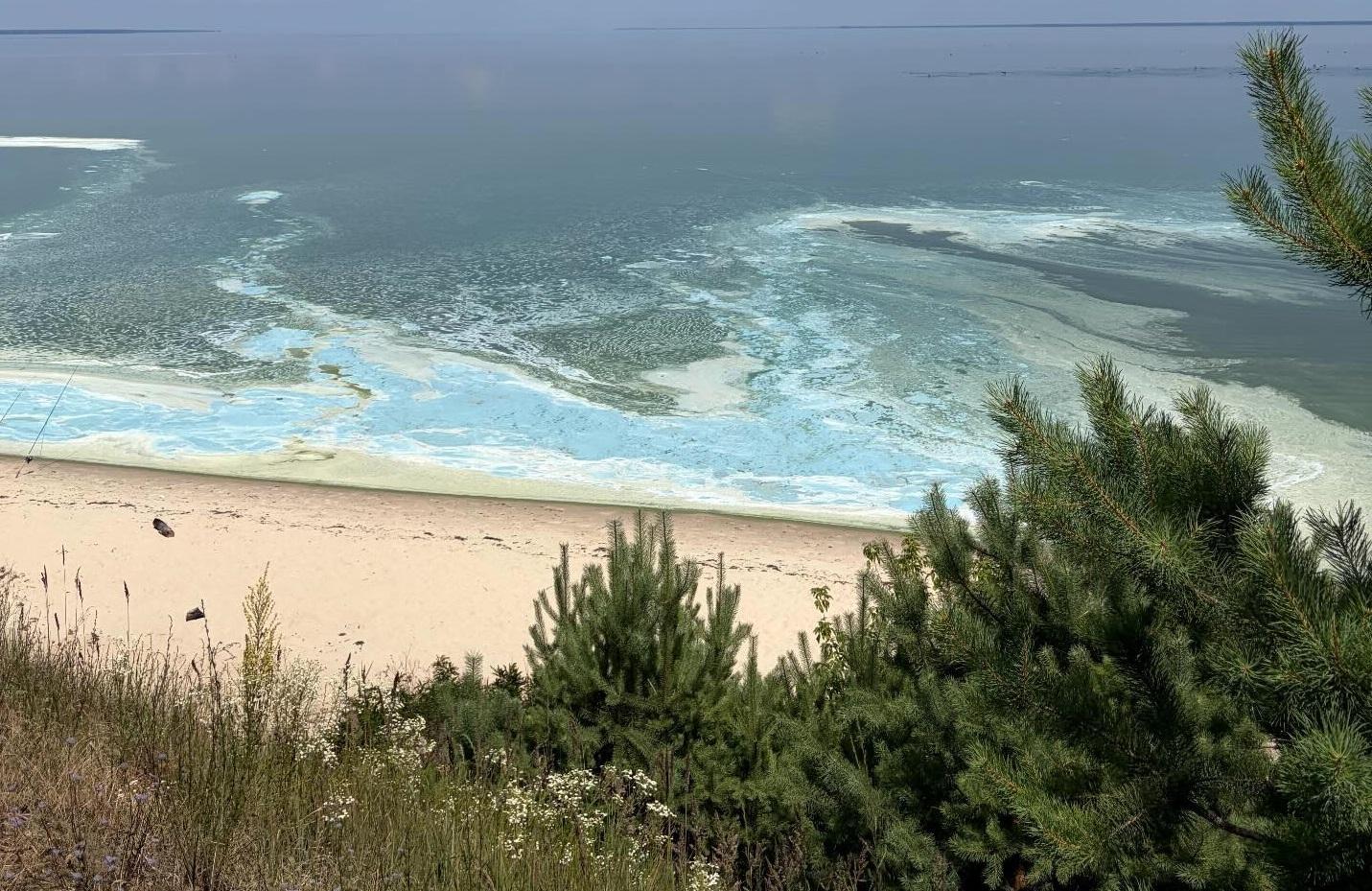 У соцмережах публікують фото обмілілого та «зацвілого» Київського водосховища на тлі спеки