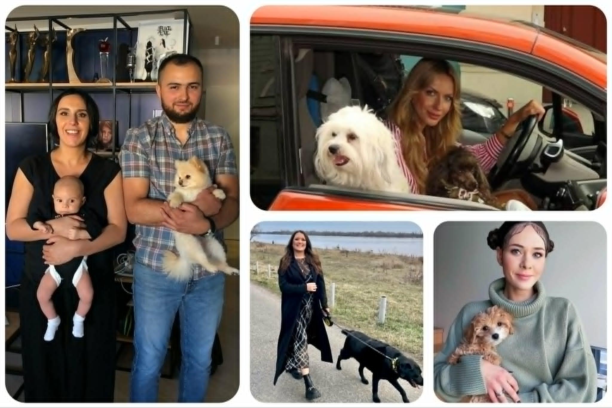 Міжнародний день пса: якими собаками пишаються зіркові українці