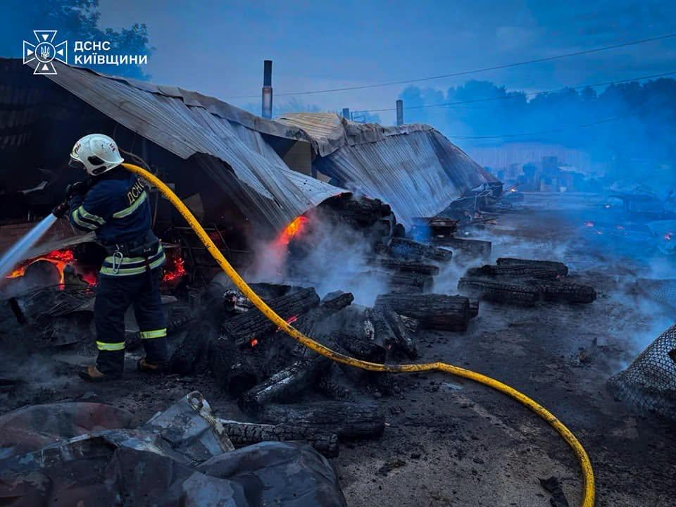 На Київщині горів притулок для тварин: загинули вісім собак