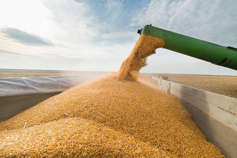 Україна ризикує втратити понад €10,8 млрд через проблеми з експортом нового врожаю