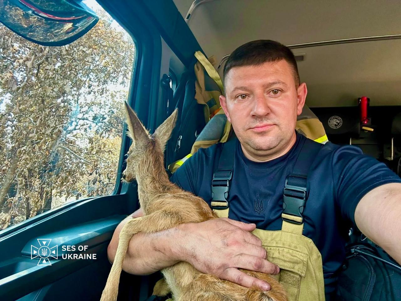 Українські вогнеборці врятували козуленя під час гасіння масштабної пожежі у Франції