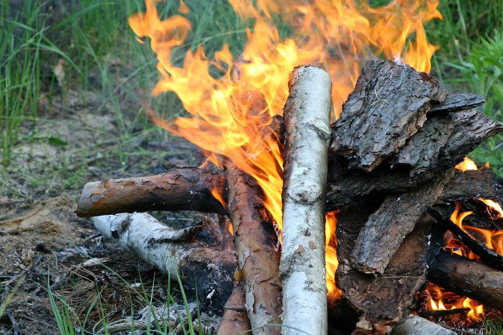 У Києві – надзвичайний рівень пожежної небезпеки: за розведення вогнищ загрожує штраф