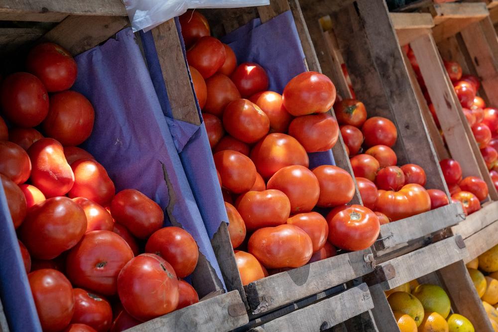 Де у Києві у вихідні проходитимуть продуктові ярмарки: локації 