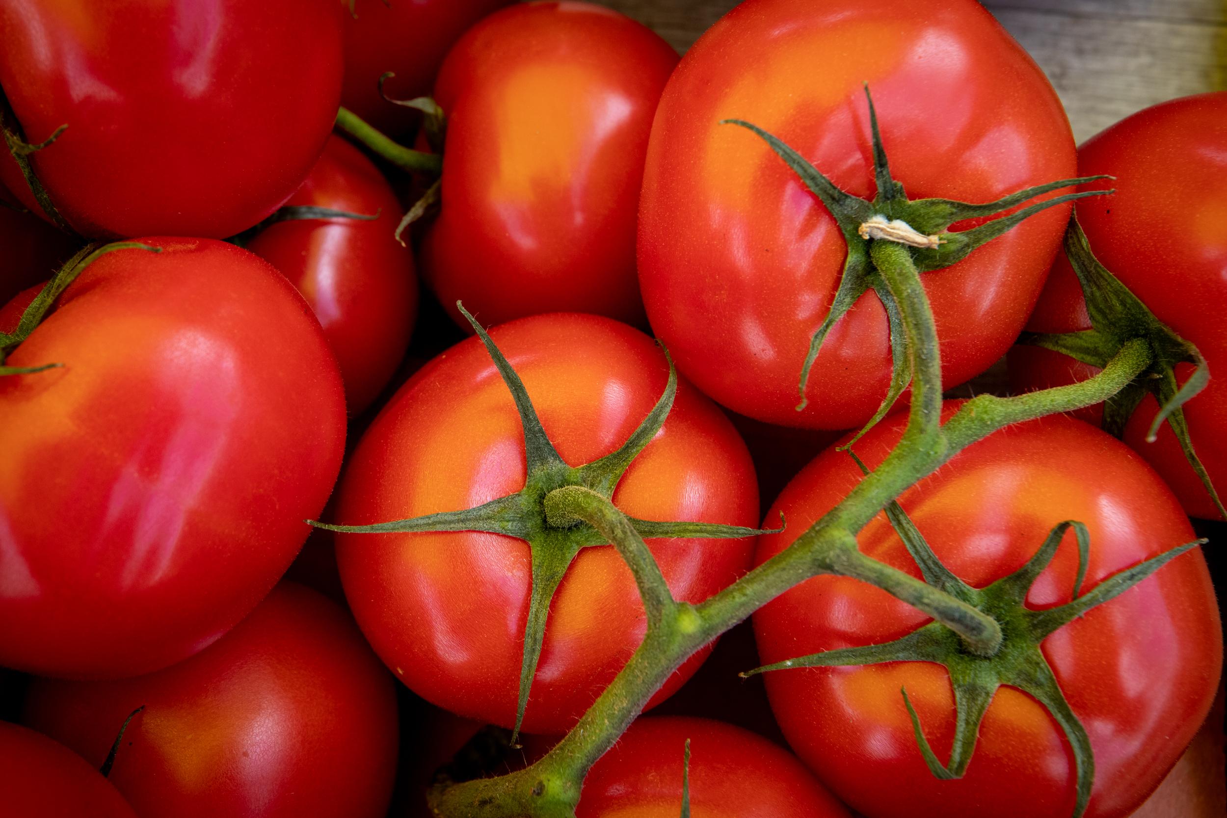 Де у Києві цього тижня відбудуться продуктові ярмарки: локації