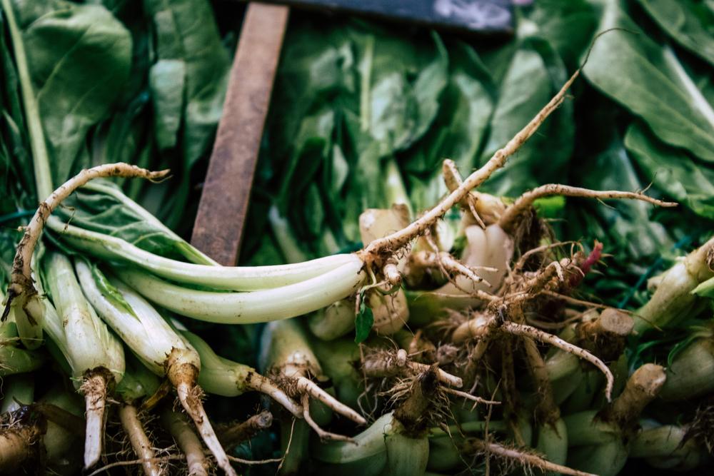 Де у Києві сьогодні проходять продуктові ярмарки: локації