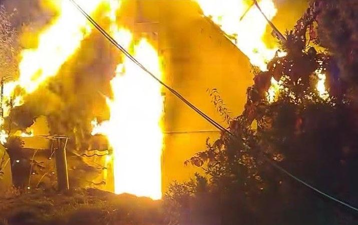 На Київщині через російський обстріл згорів центр реабілітації птахів «Садиба Нюшанік»