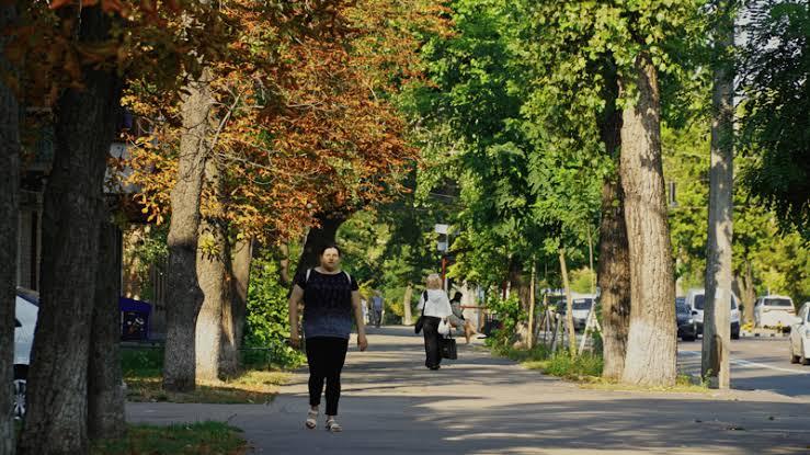 У Києві, Житомирі та Вінниці нині найбрудніше повітря – до яких міст їхати на оздоровлення, бо дихати легше