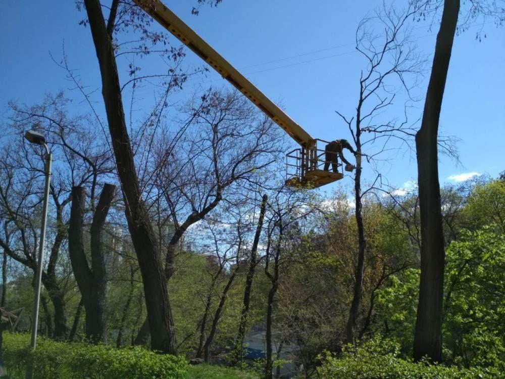 Обрезка деревьев