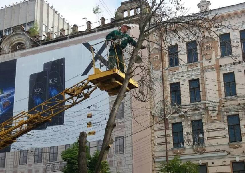 Обрезка деревьев