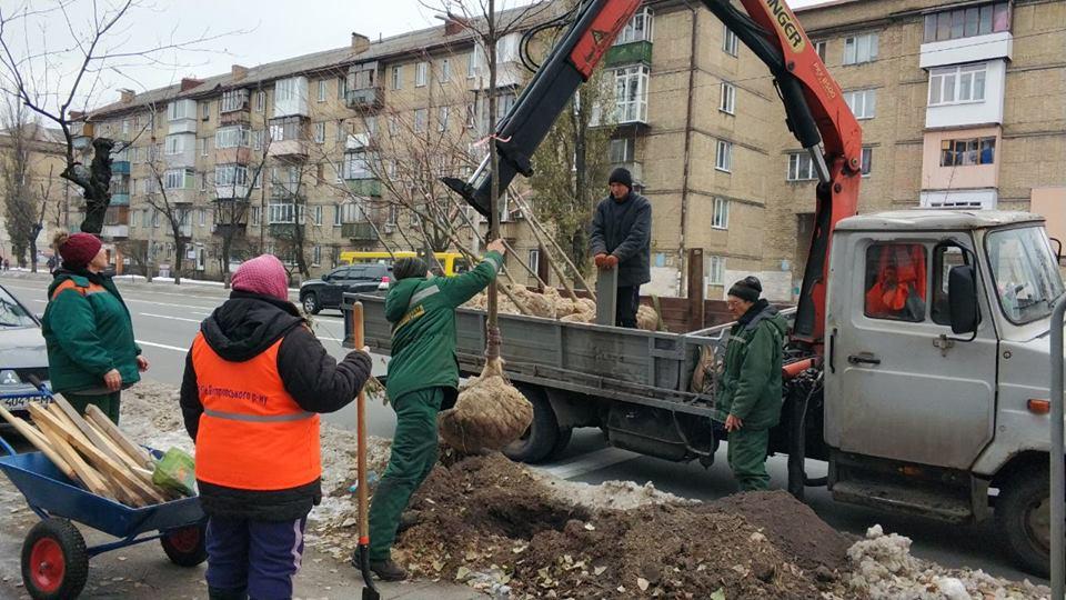 высадка деревьев