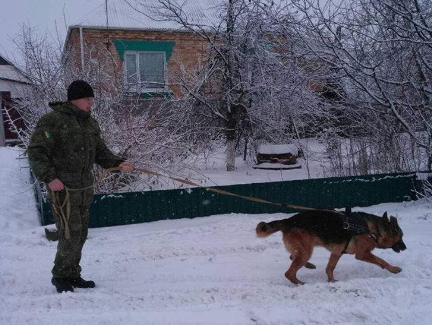 Полицейский пес